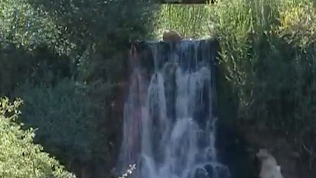 Welcome to Navoi смотреть онлайн