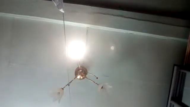 Птенец воробьихи !!! У меня дома! смотреть онлайн