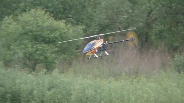 ALIGN T-Rex 500 Pro DFC  | модель вертолета