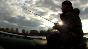 Рыбалка Дон Судак