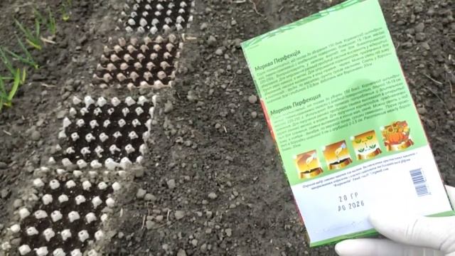 ЗАКОПАЛ и ПОРЯДОК ! Всеми забытый СТАРЫЙ способ наших БАБУШЕК проращивания семян МОРКОВИ ! смотреть онлайн