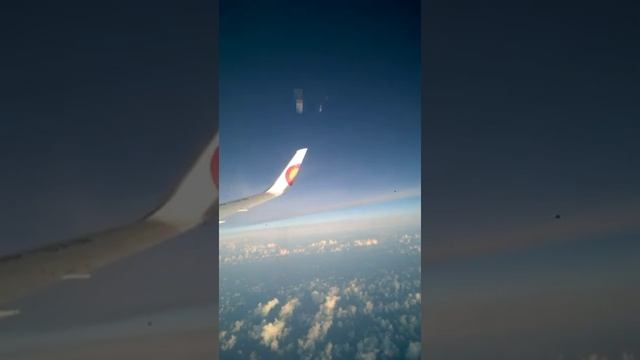 вторая серия моего перелёта из Доминиканы в Москву смотреть онлайн