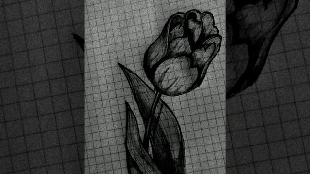 Nureke_mix-изгибы твоего тела смотреть онлайн