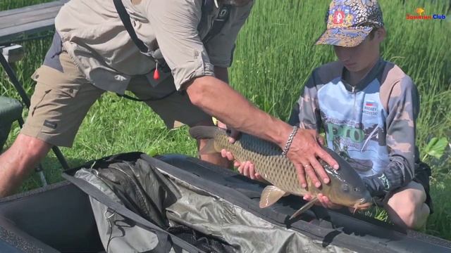 Какая сумка карпа бережёт Рыбалка Ловля карпа с берега и в завоз смотреть онлайн
