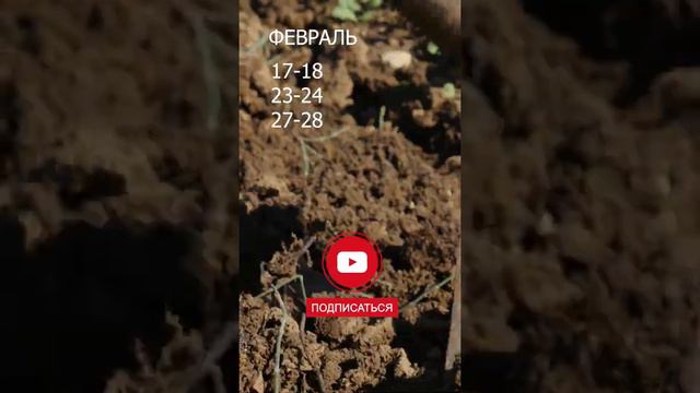 ЛУННЫЙ КАЛЕНДАРЬ работ в саду и огороде на февраль 2022 г. Календарь садовода и огородника смотреть онлайн