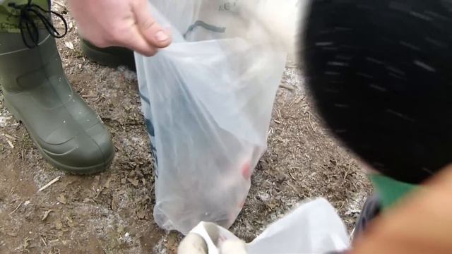 Соревнования "Полосатый разбойник 2014". Kamfish смотреть онлайн