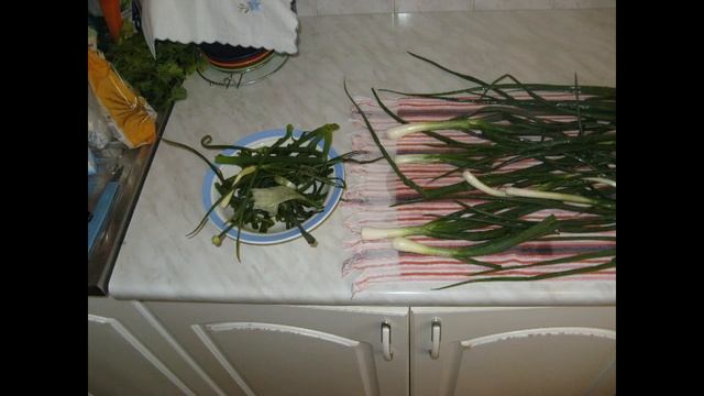 Заготовки на зиму. Замороженная зелень (укроп, петрушка, лук) смотреть онлайн