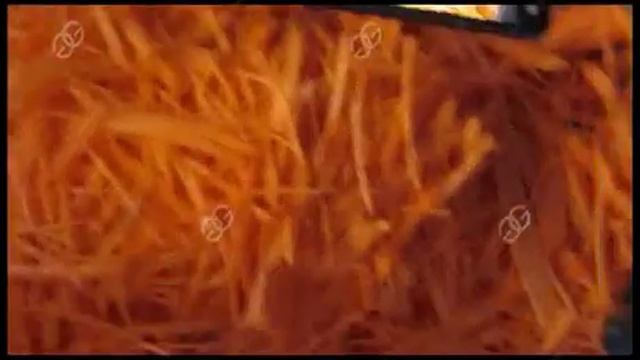 Оборудование для резки морковки смотреть онлайн