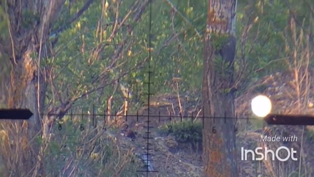 Водочка на 105м смотреть онлайн