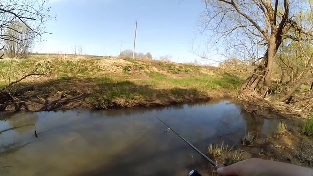 Наглая щука не побоялась подойти прямо ко мне! Домашние шпроты! смотреть онлайн