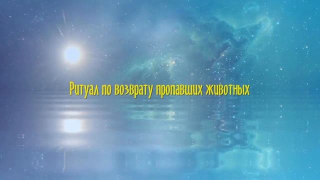 Как найти пропавшее животное с помощью заговора смотреть онлайн