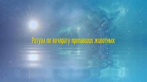 Как найти пропавшее животное с помощью заговора