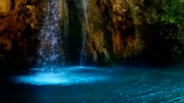 O'ZBEKISTON DAVLAT BAYROG'I 1991 YIL 18-NOYABR