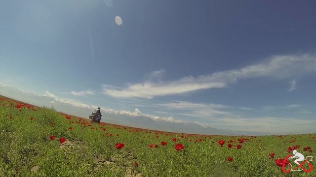 Узбекская планета. Часть 5. Путешествия за Пазухой. смотреть онлайн