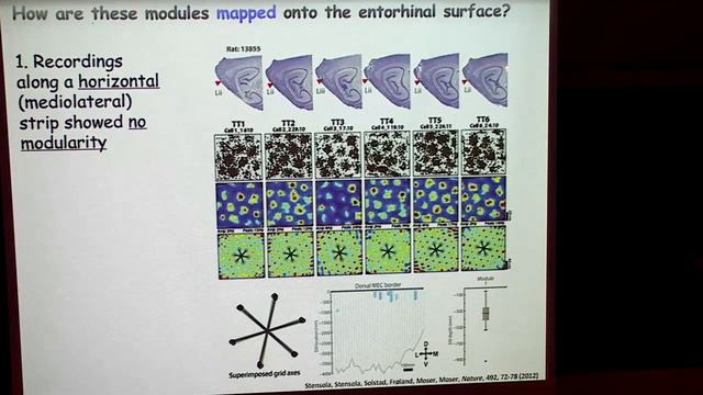 Grid Cells and Neural Maps of Space | Edvard Moser смотреть онлайн