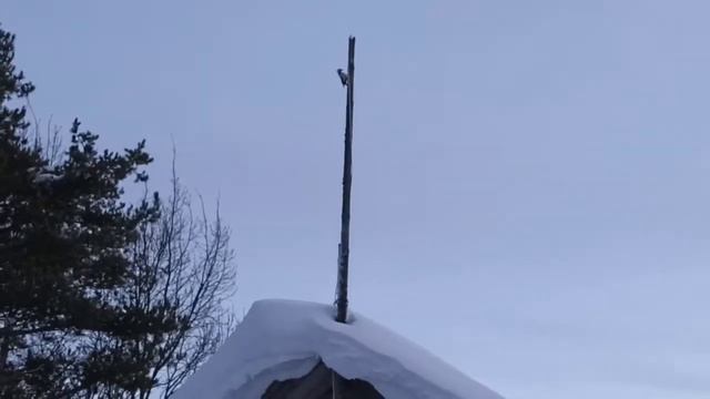 Встретил дятла | Деревенская жизнь смотреть онлайн