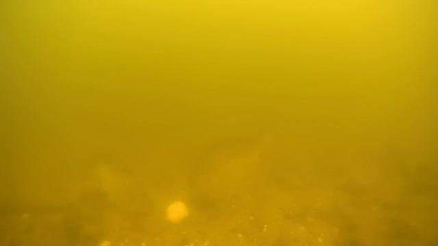 Печорский Карп смотреть онлайн