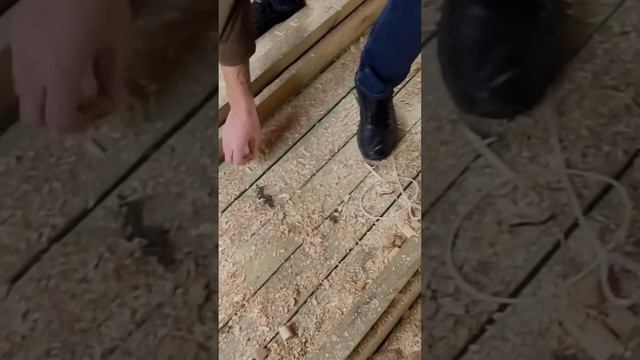 Зачем нужен черновой пол?