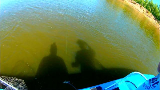 Судак на спиннинг! Рыбалка ! Клюет мелкий судак! смотреть онлайн