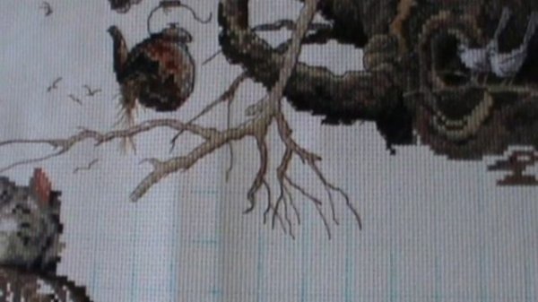 "Слишком устал" от Dimensions Отчет №2