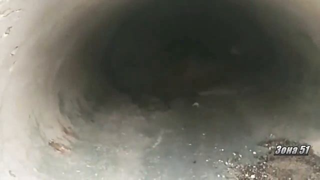 Пришельцы сняты на камеру! Катори из них Реальные?