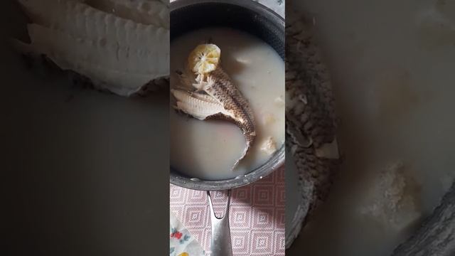 аргентинка,як лезгинка,ніжна,швидка,смачна смотреть онлайн