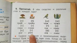 Как обозначить буквой парный по глухости-звонкости согласный звук на конце слова?