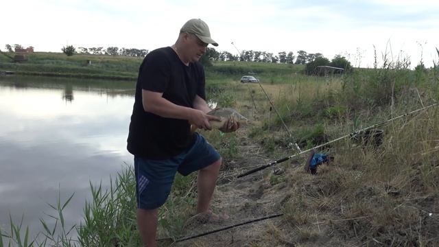 Рыбалка ! Зеркальный карп , сазан на микро пруду !! смотреть онлайн