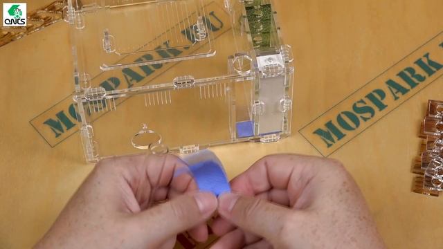 Муравьиная ферма Crystal L 3.0 смотреть онлайн