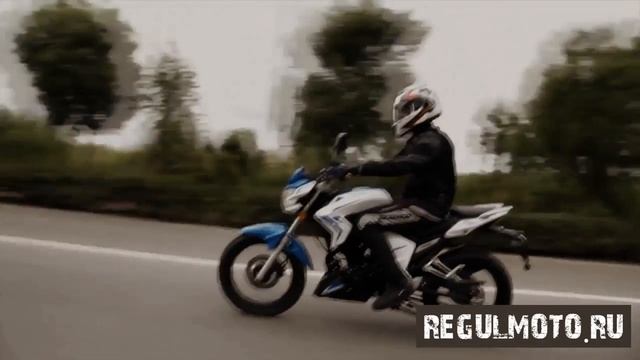 Senke (Сенке) SK200GY 4 Raptor (Раптор)