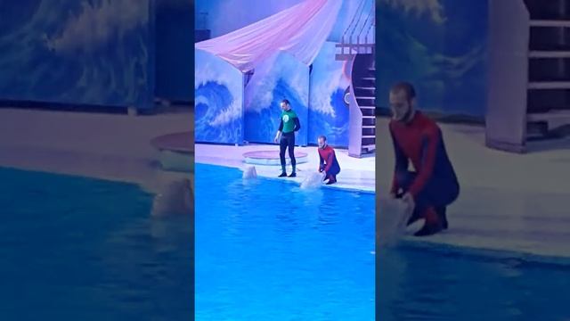 Танцы с Белугой! Браво!/2017/ смотреть онлайн