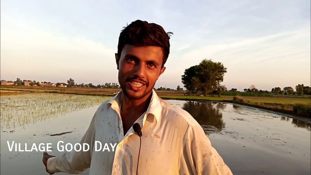 Rice Planter in Pakistan Village | Munji Lagany Wali Machine смотреть онлайн