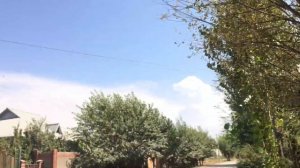 Охота на птиц с Рогаткой 24 часа 2# Часть/ Bind hunting with a Slingshot