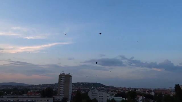 SONY DSC-HX300 ZOOM TEST_Ravens смотреть онлайн