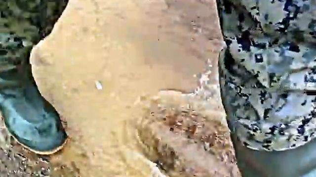 Road going in my new Poks-plast russian PVC hip- waders. смотреть онлайн