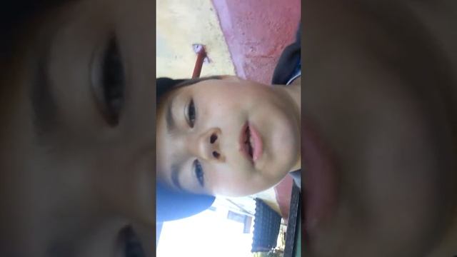 Как приручить голубя#1 смотреть онлайн