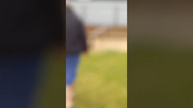 Моя дача влог смотреть онлайн