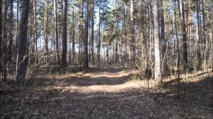 Первомайский Сплав по реке Барыш