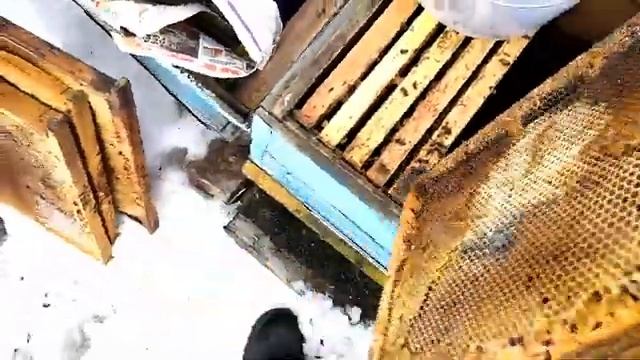 06.04.2021 ДЕЛАЕМ ВЫВОДЫ НА БУДУЩЕЕ. смотреть онлайн