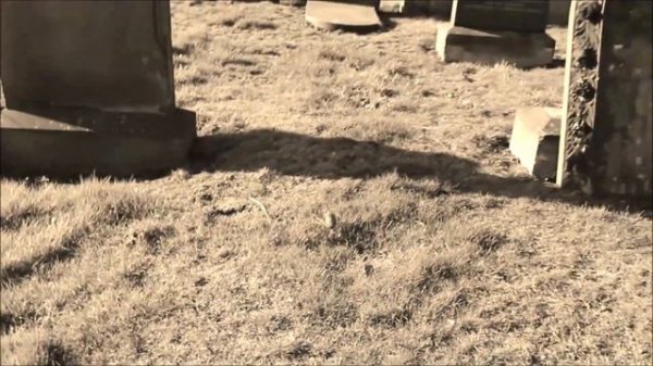 The First Lady Ever Converted to Islam in England' - Fatima Elizabeth Cates