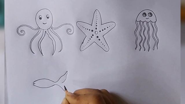 How to draw water animals | easy sea animals drawing смотреть онлайн