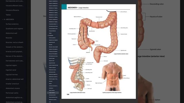 GIT and RENAL Review session Lecture 2 смотреть онлайн