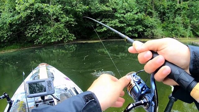 Kayak Bass Fishing at AEP ReCreation Land - FISH OHIO BASS CHOKED THE FROG!!! смотреть онлайн