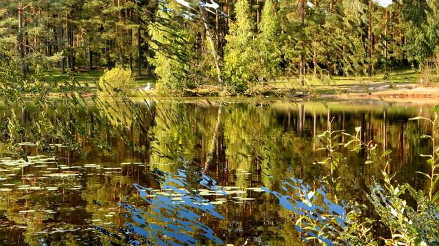 Линэзерс Рига смотреть онлайн