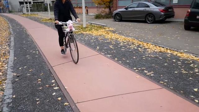 Pink Unicorn Rides a Bike – Panasonic Lumix DMC-GX800 Test смотреть онлайн