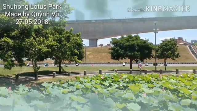 Shuhong Lotus Park смотреть онлайн