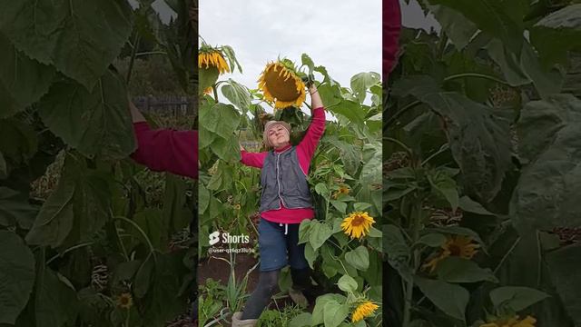 Когда попросила муженьку сделать фото