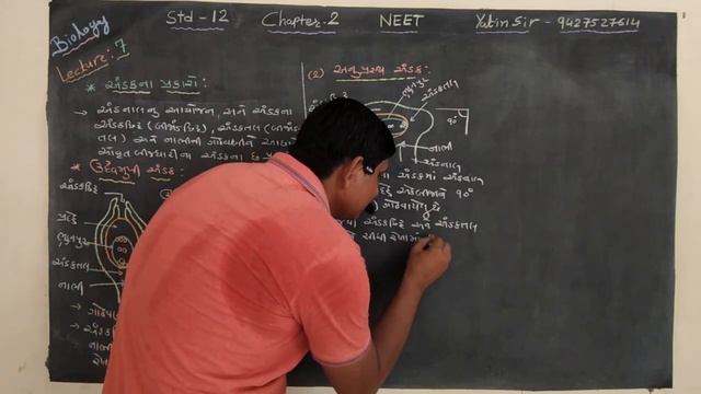 Chapter 2||biology:std 12 смотреть онлайн