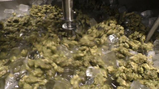 Hash Making at Embark Health Inc смотреть онлайн