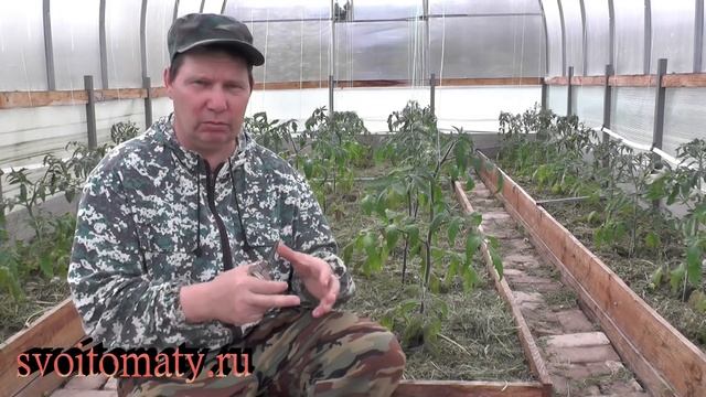 Махровые цветки у томатов, оставлять или удалять смотреть онлайн